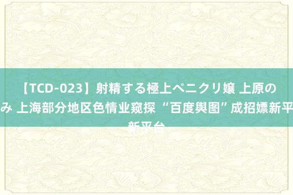 【TCD-023】射精する極上ペニクリ嬢 上原のぞみ 上海部分地区色情业窥探 “百度舆图”成招嫖新平台