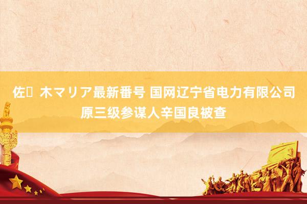 佐々木マリア最新番号 国网辽宁省电力有限公司原三级参谋人辛国良被查