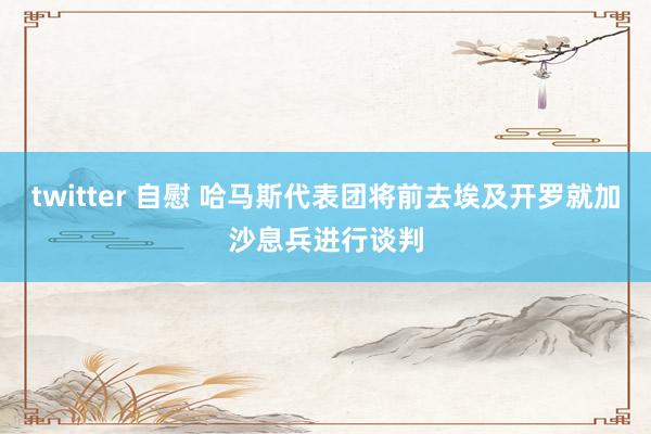 twitter 自慰 哈马斯代表团将前去埃及开罗就加沙息兵进行谈判