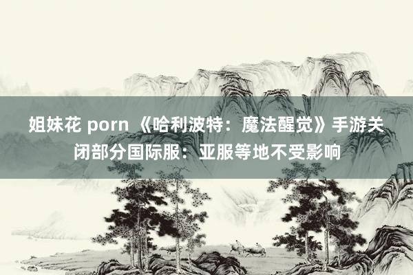 姐妹花 porn 《哈利波特：魔法醒觉》手游关闭部分国际服：亚服等地不受影响