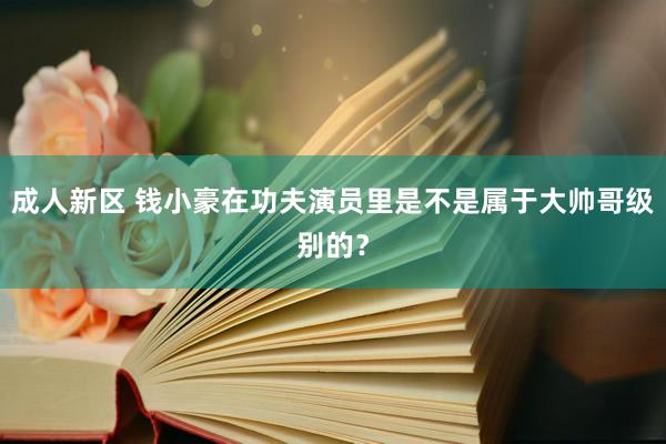 成人新区 钱小豪在功夫演员里是不是属于大帅哥级别的？