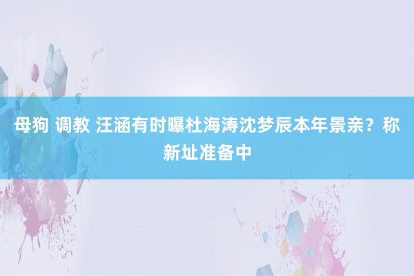 母狗 调教 汪涵有时曝杜海涛沈梦辰本年景亲？称新址准备中