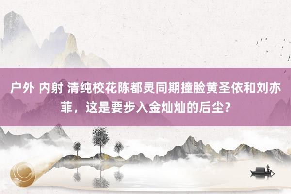 户外 内射 清纯校花陈都灵同期撞脸黄圣依和刘亦菲，这是要步入金灿灿的后尘？