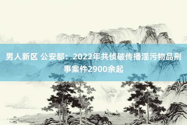 男人新区 公安部：2022年共侦破传播淫污物品刑事案件2900余起