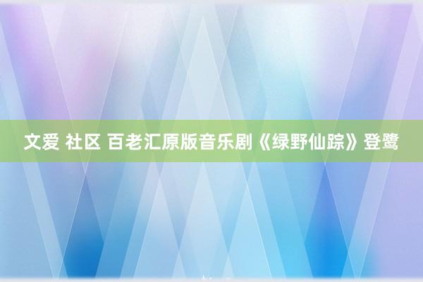 文爱 社区 百老汇原版音乐剧《绿野仙踪》登鹭