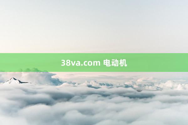 38va.com 电动机