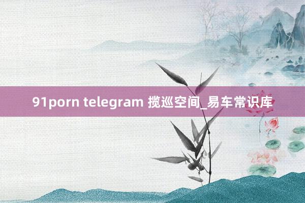 91porn telegram 揽巡空间_易车常识库