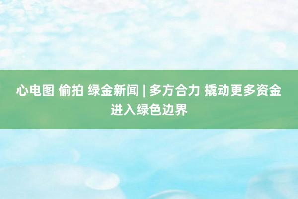 心电图 偷拍 绿金新闻 | 多方合力 撬动更多资金进入绿色边界