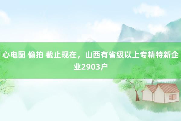 心电图 偷拍 截止现在，山西有省级以上专精特新企业2903户