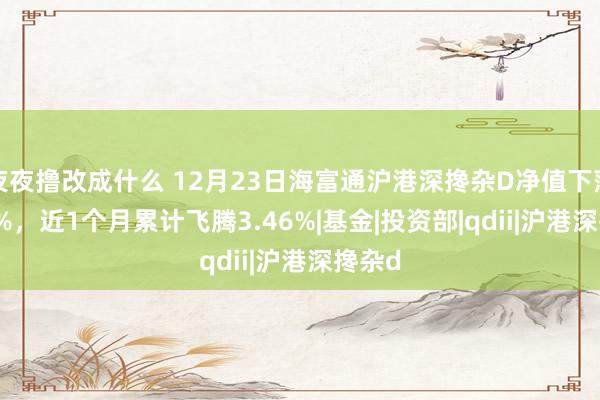 夜夜撸改成什么 12月23日海富通沪港深搀杂D净值下落0.31%，近1个月累计飞腾3.46%|基金|投资部|qdii|沪港深搀杂d