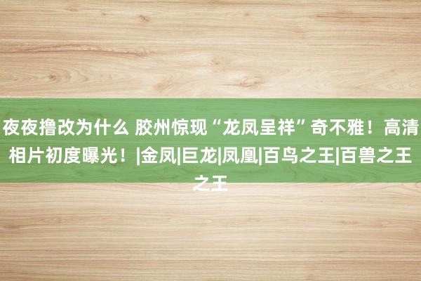 夜夜撸改为什么 胶州惊现“龙凤呈祥”奇不雅！高清相片初度曝光！|金凤|巨龙|凤凰|百鸟之王|百兽之王